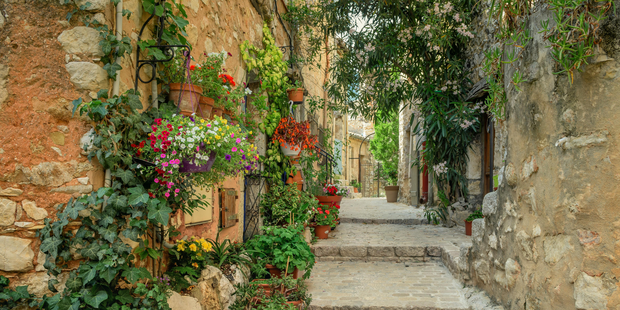 Untitled design - 2025-07-24T104732.489